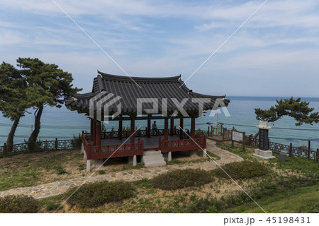 松 精子 避難所 45198431