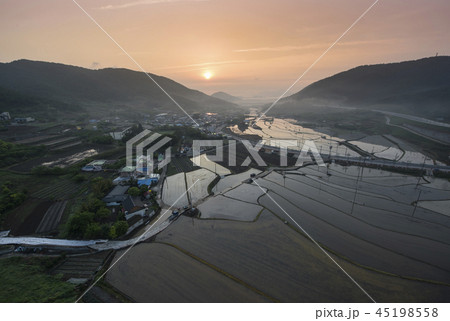 田植え 朝 農家 45198558