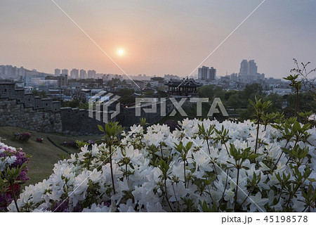訪花リュジョン 城 水原 45198578