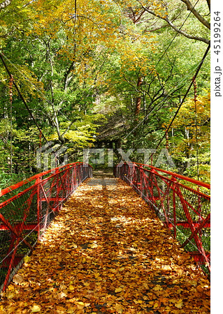 【紅葉橋】鹿教湯温泉散策道【上田市】 45199264
