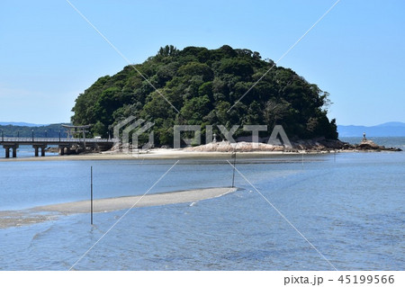 夏の竹島 夏の竹島 45199566