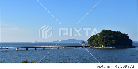 夏の竹島 45199572