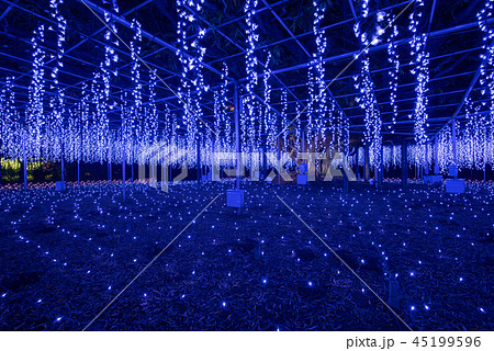 あしかがフラワーパーク　イルミネーション　奇蹟の大藤 45199596