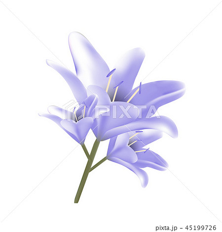 Bouquet of blue lilies. Bouquet of blue lilies. 45199726