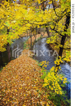 Autumn in the castle park of Meiningen Thuringia 45200381