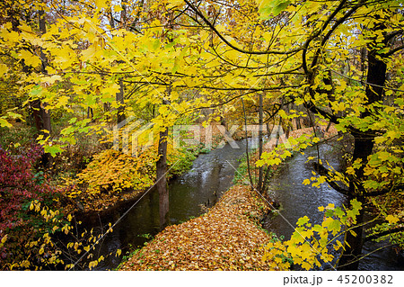 Autumn in the castle park of Meiningen Thuringia  45200382