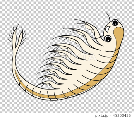 Sea Monkey Artemia Character Sea Monkey Artemia Character 45200436