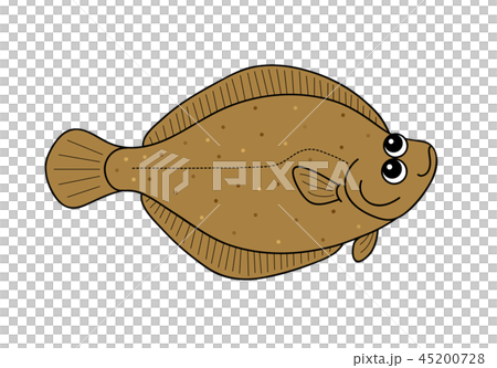 かれい　鰈 45200728