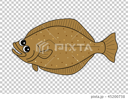 ひらめ　鮃 45200738