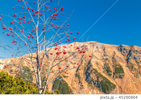 Mountain landscape at autumn. Mountain landscape at autumn. 45200804