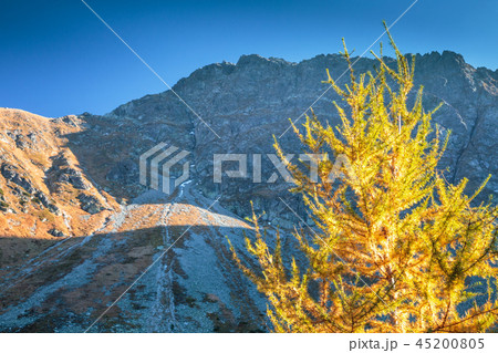 Mountain landscape at autumn. Mountain landscape at autumn. 45200805