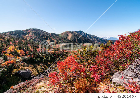 白山の紅葉 45201407