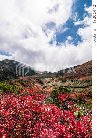 白山の紅葉 白山の紅葉 45201442