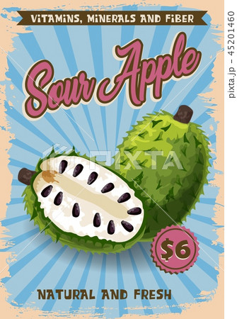 Soursop exotic tropical fruit, vector Soursop exotic tropical fruit, vector 45201460