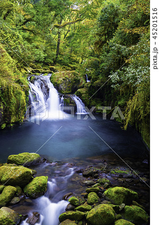 秋の色に染まりつつある菊池渓谷 秋の色に染まりつつある菊池渓谷 45201516