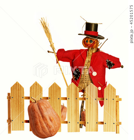 garden scarecrow and fence 45201575
