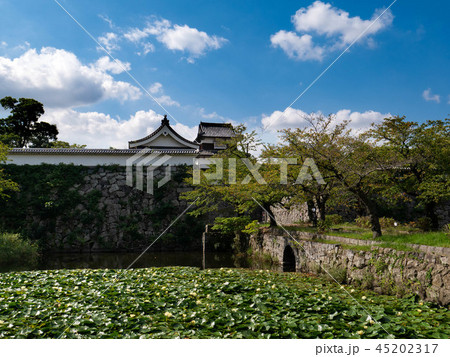 福岡城 下之橋御門と潮見櫓 福岡城 下之橋御門と潮見櫓 45202317