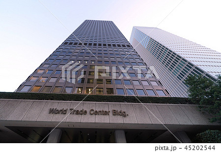 日本の東京都市景観 世界貿易センタービルや日本生命浜松町クレアタワー(右)などを望む 日本の東京都市景観 世界貿易センタービルや日本生命浜松町クレアタワー(右)などを望む 45202544
