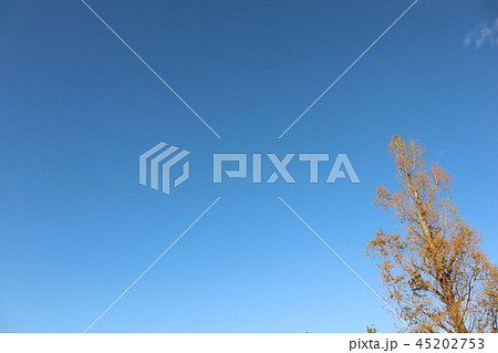 青空 45202753