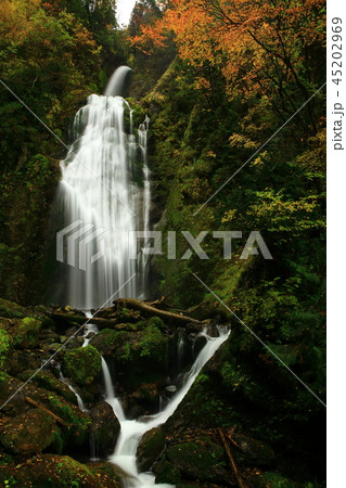 紅葉の抱返り渓谷 45202969