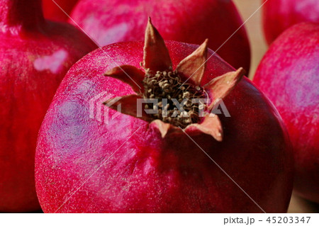 ripe, red pomegranates grown in the garden ripe, red pomegranates grown in the garden 45203347