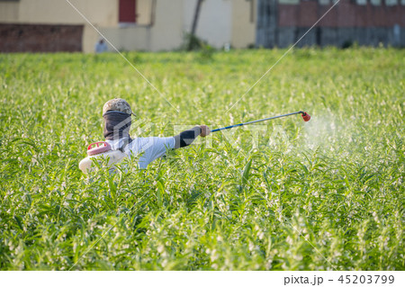 農薬 殺虫剤 虫除け 45203799