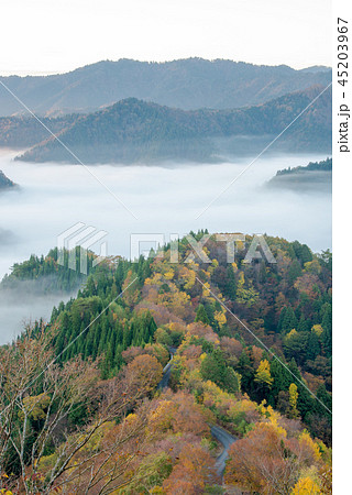 おにゅう峠 紅葉 早朝 大雲海 おにゅう峠 紅葉 早朝 大雲海 45203967