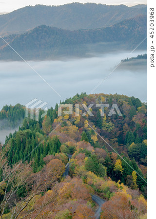 おにゅう峠 紅葉 早朝 大雲海 おにゅう峠 紅葉 早朝 大雲海 45203968