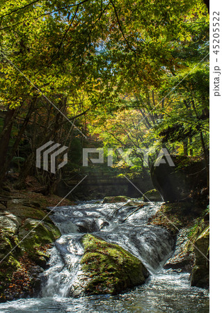 日光国立公園　小太郎ヶ渕 45205522