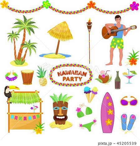 Hawaii party vector woman or man characterr on hawaiian beach with tropical palm and exotic fruity Hawaii party vector woman or man characterr on hawaiian beach with tropical palm and exotic fruity 45205539