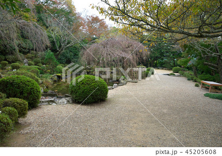 吉野山　竹林院庭園 45205608