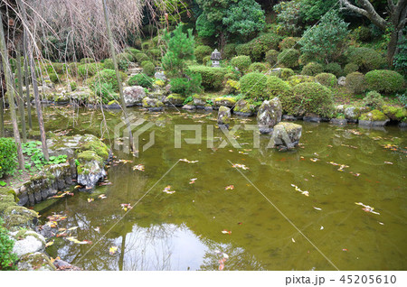 吉野山 竹林院庭園 吉野山 竹林院庭園 45205610