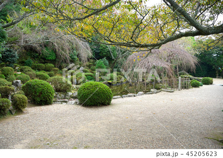 吉野山　竹林院庭園 45205623