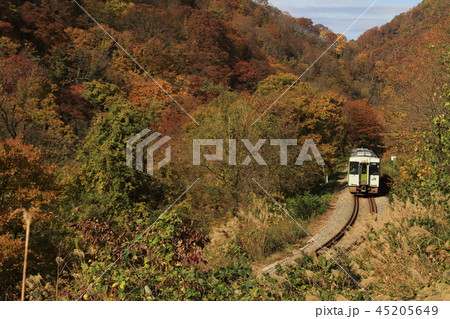 紅葉と米坂線 紅葉と米坂線 45205649