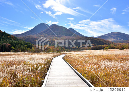 くじゅう長者原からの三俣山1745ｍ　タデ原湿原自然研究路　秋色のくじゅう連山 45206012