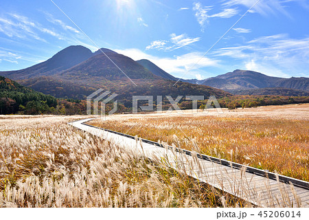 くじゅう長者原からの三俣山1745ｍ　タデ原湿原自然研究路　秋色のくじゅう連山 45206014