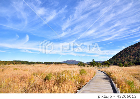 くじゅう長者原からの三俣山1745ｍ　タデ原湿原自然研究路　秋色のくじゅう連山 45206015
