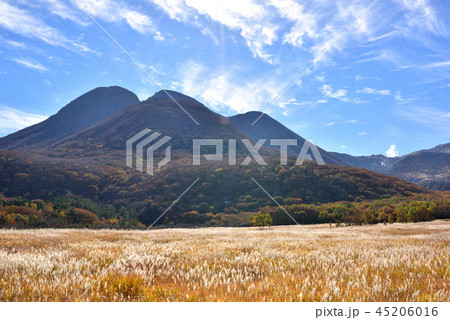 くじゅう長者原からの三俣山1745ｍ　タデ原湿原自然研究路　秋色のくじゅう連山 45206016