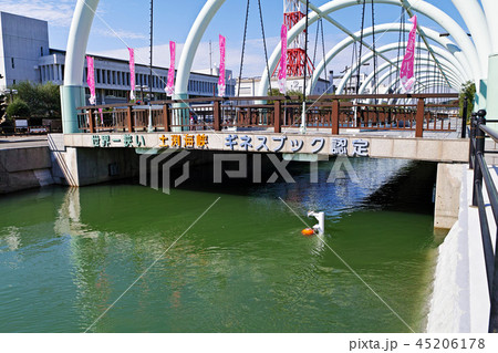 【小豆島】土渕海峡（ギネス認定・世界で一番狭い海峡） 45206178