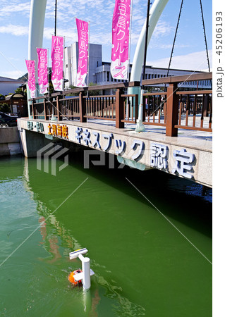 【小豆島】土渕海峡(ギネス認定・世界で一番狭い海峡) 【小豆島】土渕海峡(ギネス認定・世界で一番狭い海峡) 45206193