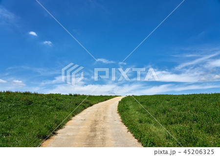 西山牧場 入道雲 草原 45206325