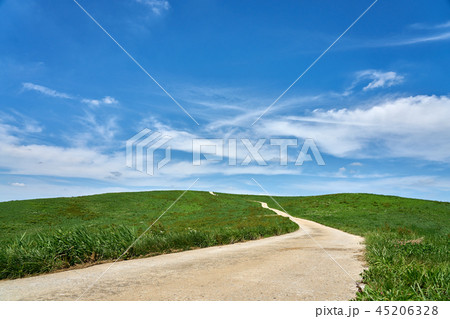 西山牧場 入道雲 草原 45206328