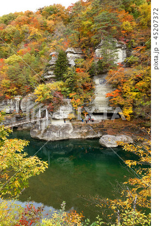 塔のへつり　紅葉　吊橋 45207372