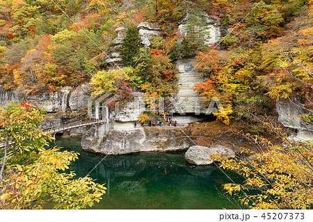 塔のへつり 紅葉 吊橋 塔のへつり 紅葉 吊橋 45207373