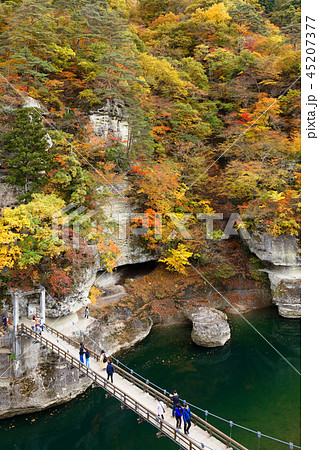 塔のへつり 紅葉 吊橋 塔のへつり 紅葉 吊橋 45207377