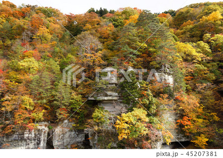 塔のへつり 紅葉 塔のへつり 紅葉 45207381