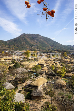 田舎 朝鮮時代 丸屋 45207460