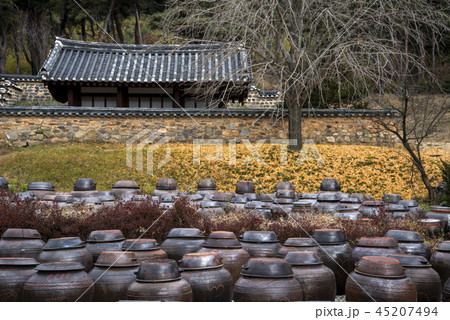 家屋 農村 古宅 45207494