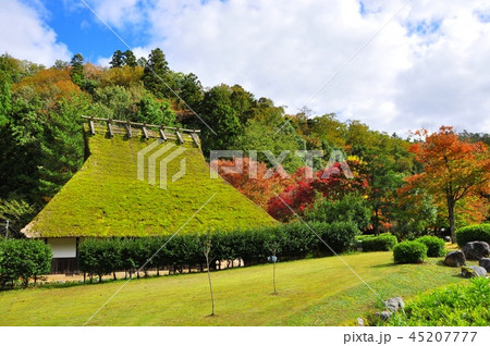 福井県おおい町 頭巾山青少年旅行村 ホテル流星館の茅葺民家と紅葉 福井県おおい町 頭巾山青少年旅行村 ホテル流星館の茅葺民家と紅葉 45207777