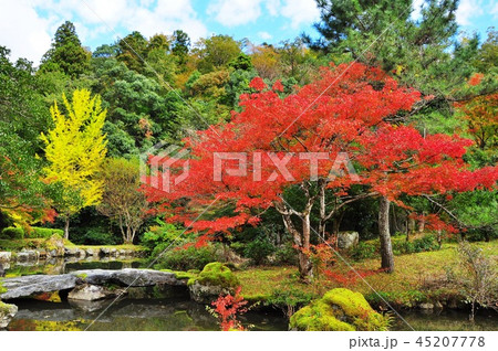 福井県おおい町　頭巾山青少年旅行村　バーベキュー施設付近の池と紅葉 45207778